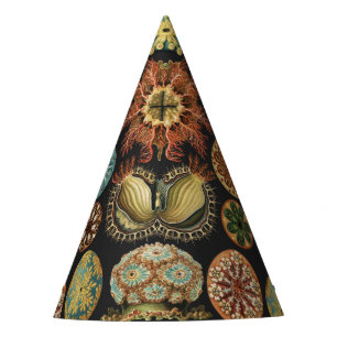 Ernst Haeckel Maritime Meeresleben Kunst Collage Partyhütchen