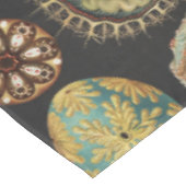 Ernst Haeckel Maritime Meeresleben Kunstcollage Tischdecke (Schrägansicht)