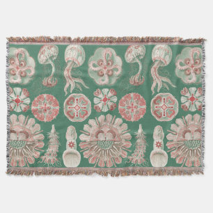 Ernst Haeckel Meer Leben Rosa Qualle Grün Poster Decke