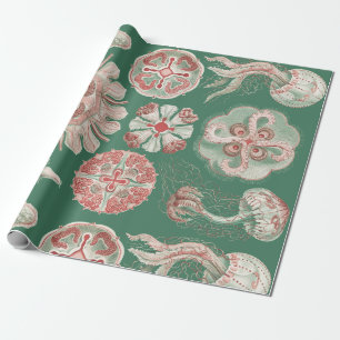 Ernst Haeckel Meer Leben Rosa Qualle Grün Poster Geschenkpapier