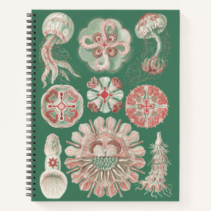 Ernst Haeckel Meer Leben Rosa Qualle Grün Poster Notizblock