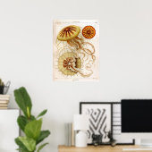 Ernst Haeckel Meereswelt Ocean Jellyfish Art Print Poster (Heimbüro)