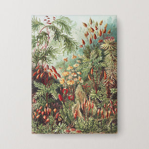 Ernst Haeckel Moos Naturdruck Dark Academia Button