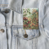 Ernst Haeckel Moos Naturdruck Dark Academia Button (Insitu)