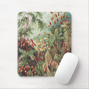 Ernst Haeckel Moos Naturdruck Dark Academia Mousepad