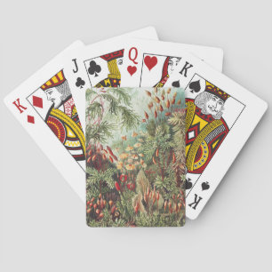 Ernst Haeckel Moos Naturdruck Dark Academia Spielkarten