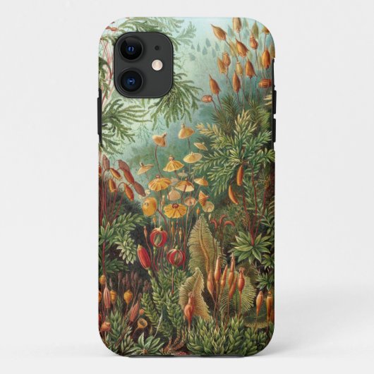 Ernst Haeckel - Muscinae Case-Mate iPhone Hülle (Rückseite)
