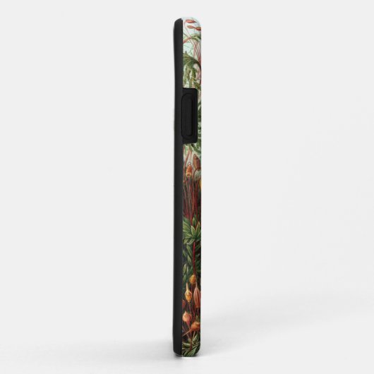 Ernst Haeckel - Muscinae Case-Mate iPhone Hülle (Hinten/Rechts)