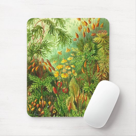 Ernst Haeckel - Muscinae Mousepad (Mit Mouse)