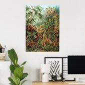 Ernst Haeckel Muscinae Poster (Heimbüro)