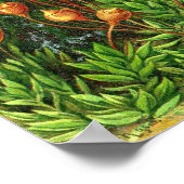 Ernst Haeckel - Muscinae Poster (Ecke)