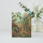 Ernst Haeckel - Muscinae Postkarte (Stehend Vorderseite)