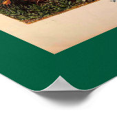 Ernst Haeckel Muscinae Vintage Illustration Poster (Ecke)