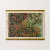 Ernst Haeckel Muscinae Vintage Illustration Puzzle (Horizontal)