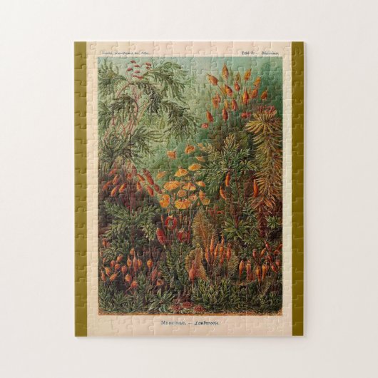 Ernst Haeckel Muscinae Vintage Illustration Puzzle (Vertikal)