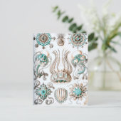 Ernst Haeckel Narcomedusae Qualle! Postkarte (Stehend Vorderseite)