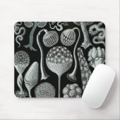 Ernst Haeckel Naturalista Mousepad (Mit Mouse)