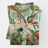 Ernst Haeckel Nature Wrapping Paper Sheets Geschenkpapier Set (Beispiel)
