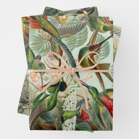 Ernst Haeckel Nature Wrapping Paper Sheets Geschenkpapier Set (Beispiel)