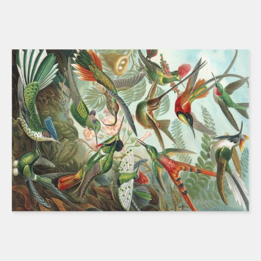 Ernst Haeckel Nature Wrapping Paper Sheets Geschenkpapier Set (Vorderseite)