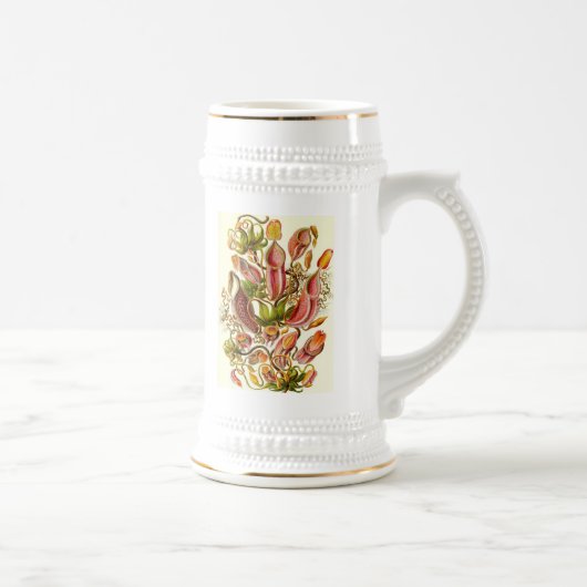 Ernst Haeckel - Nepenthaceae Bierglas (Rechts)