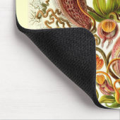 Ernst Haeckel - Nepenthaceae Mousepad (Ecke)