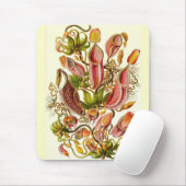 Ernst Haeckel - Nepenthaceae Mousepad (Mit Mouse)