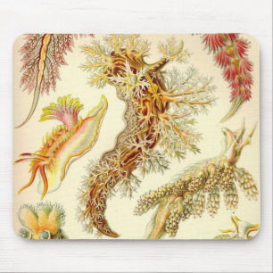Ernst Haeckel - Nudibranchia-Detail-Mausunterlage Mousepad