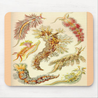 Ernst Haeckel - Nudibranchia-Mausunterlage Mousepad