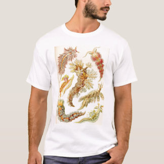 Ernst Haeckel - Nudibranchia-T-Shirt T-Shirt