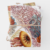 Ernst Haeckel Ocean Wrapping Paper Sheets Geschenkpapier Set (Beispiel)