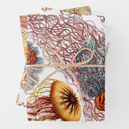 Ernst Haeckel Ocean Wrapping Paper Sheets Geschenkpapier Set (Beispiel)