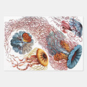 Ernst Haeckel Ocean Wrapping Paper Sheets Geschenkpapier Set (Vorderseite)