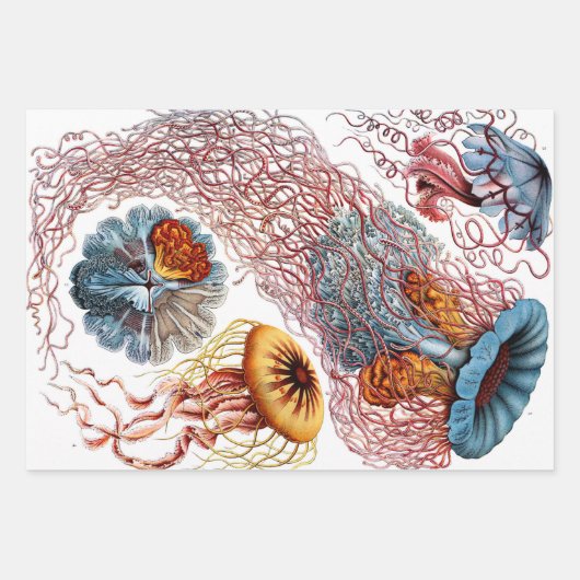 Ernst Haeckel Ocean Wrapping Paper Sheets Geschenkpapier Set (Vorderseite)
