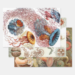 Ernst Haeckel Ocean Wrapping Paper Sheets Geschenkpapier Set