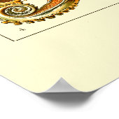 Ernst Haeckel Octopus Poster (Ecke)