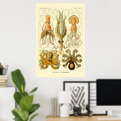 Ernst Haeckel Octopus Poster (Heimbüro)