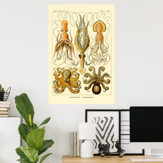 Ernst Haeckel Octopus Poster (Heimbüro)