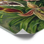 Ernst Haeckel - Orchidae Poster (Ecke)