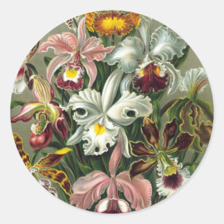 Ernst Haeckel - Orchidae Runder Aufkleber