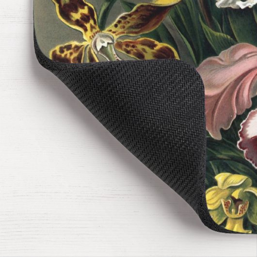 Ernst Haeckel - Orchideae Detail1 Mousepad (Ecke)