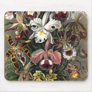 Ernst Haeckel - Orchideae Detail1 Mousepad