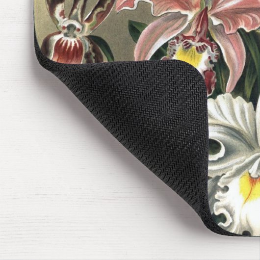 Ernst Haeckel - Orchideae Detail3 Mousepad (Ecke)