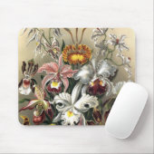 Ernst Haeckel - Orchideae Detail3 Mousepad (Mit Mouse)