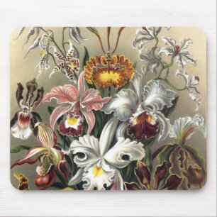 Ernst Haeckel - Orchideae Detail3 Mousepad