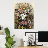 Ernst Haeckel - Orchideae Poster (Heimbüro)