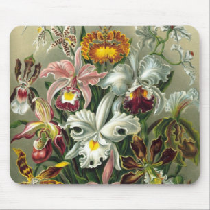 Ernst Haeckel Orchideen, Vintage Regenwald Blumen Mousepad