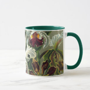 Ernst Haeckel Orchideen, Vintage Regenwaldblumen Tasse