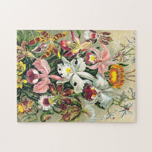 Ernst Haeckel - Orchids Puzzle (Horizontal)
