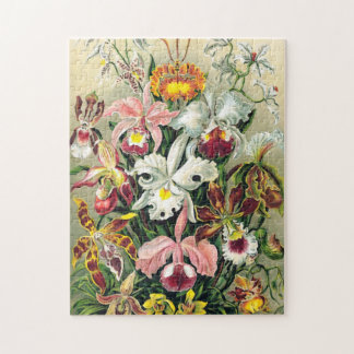 Ernst Haeckel - Orchids Puzzle